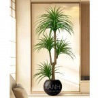 Cây giả huyết dụ trang trí không gian